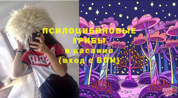 синтетический гашиш Медвежьегорск