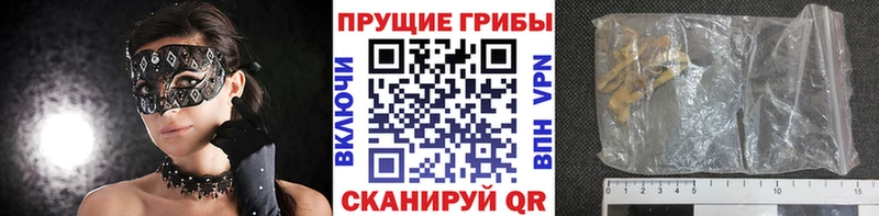 цена наркотик  Орёл  Галлюциногенные грибы GOLDEN TEACHER 